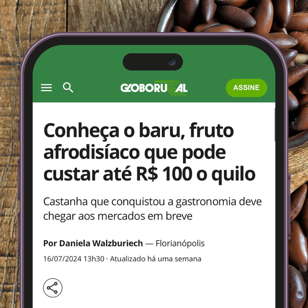 Conheça o baru, fruto afrodisíaco que pode custar até R$ 100 o quilo