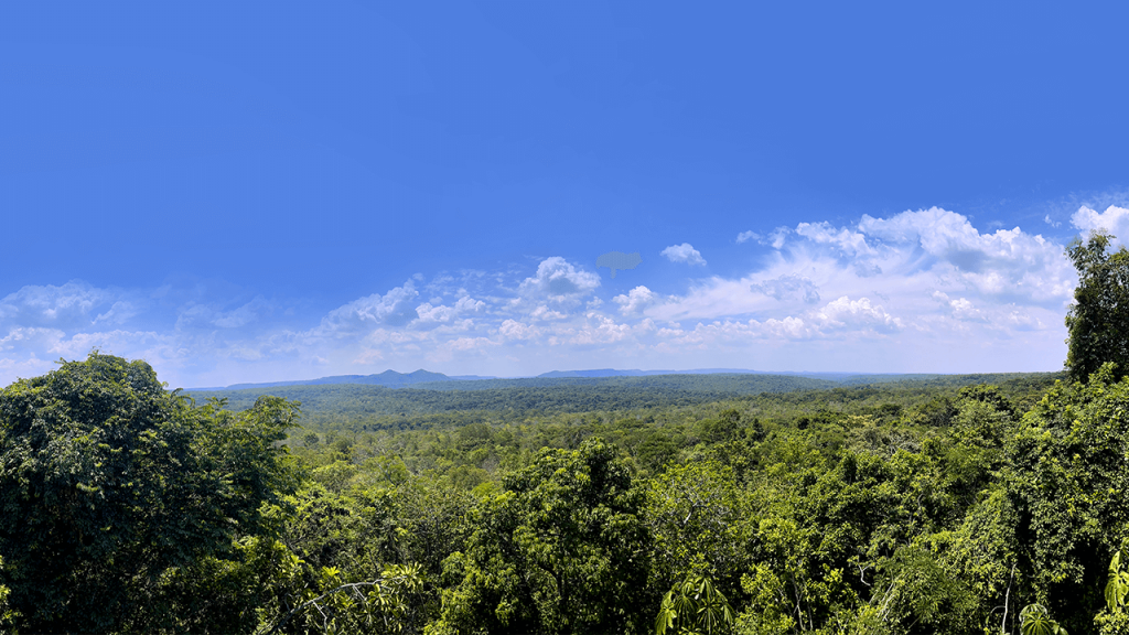 A hub to showcase the Cerrado