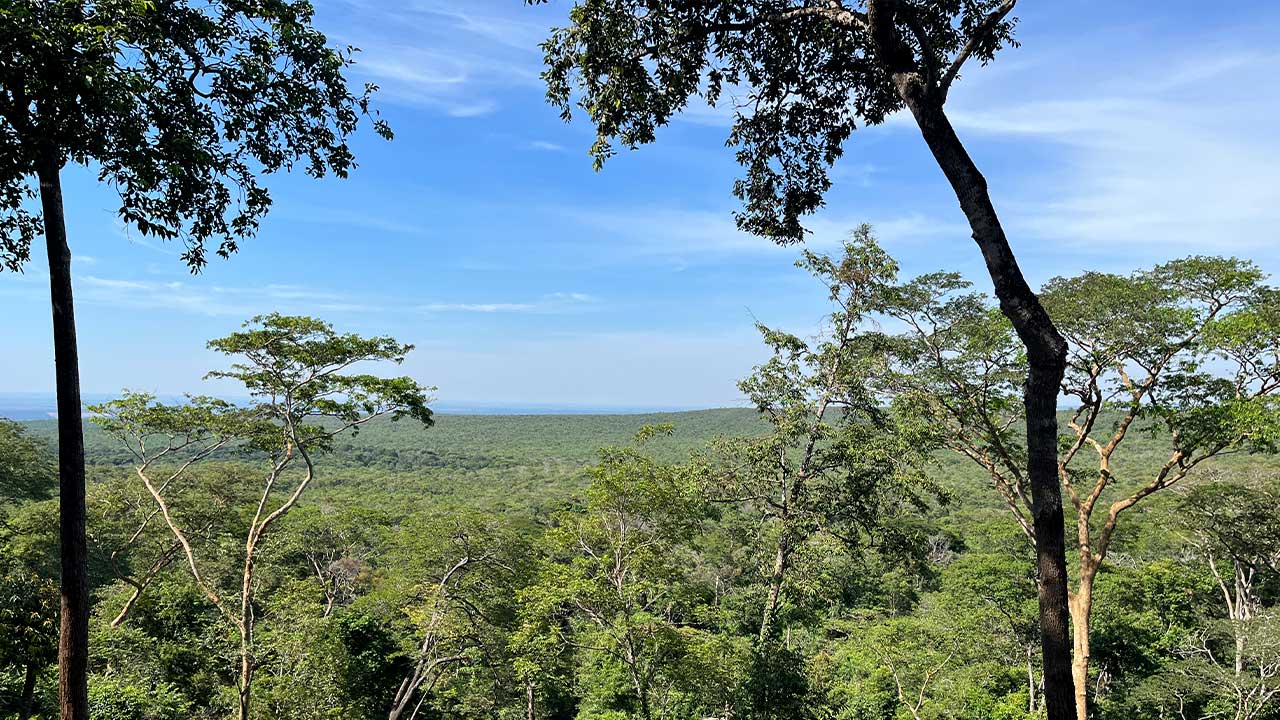 A produção de bioativos e a valorização da terra