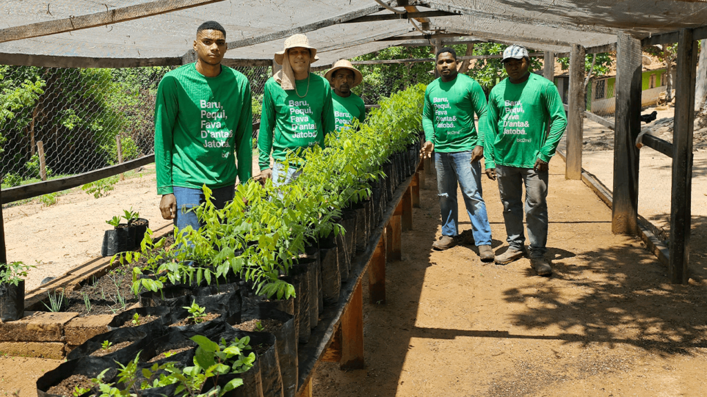 A B2MV, braço da Bio2Me, produz e comercializa mudas e sementes nativas a partir do coração do Cerrado.