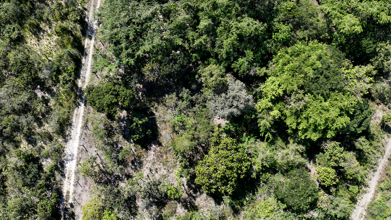 STF garante a compensação de Reserva Legal por bioma